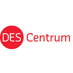 Logo DES Nieuw[1]